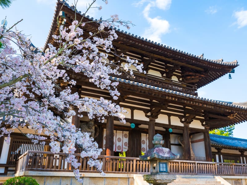 Japan_Nara_Horyu-ji_pixta_69251962