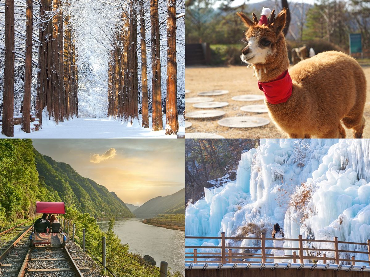 12月20日～3月11日限定！南怡島（ナミソム）＋オビ氷谷観光ツアー