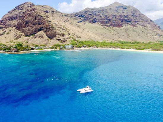 クジラ ホエールウォッチ | ハワイ 旅行の観光・オプショナルツアー