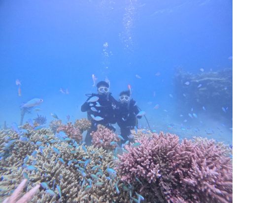 【2名限定】体験ダイビング 少人数制で初心者も安心 石垣島の海中世界を満喫する感動のひととき＜GoPro写真サービス付き／2時間／石垣島＞