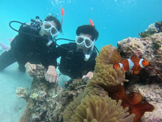 【2名限定】体験ダイビング 少人数制で初心者も安心 石垣島の海中世界を満喫する感動のひととき＜GoPro写真サービス付き／2時間／石垣島＞