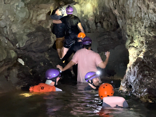 スクリーンショット 2024-11-20 18.48.30