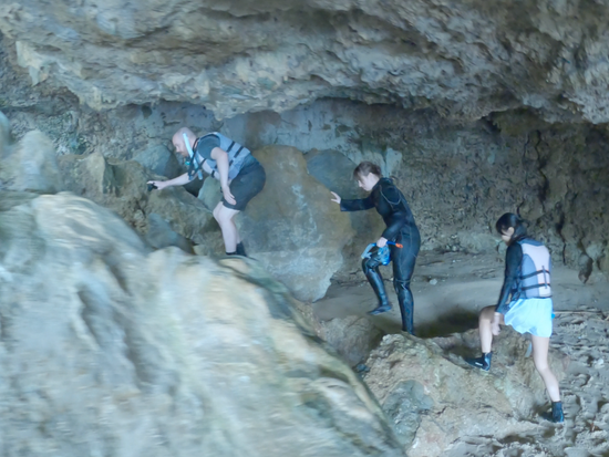 スクリーンショット 2024-11-20 18.29.29