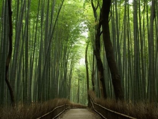 阪急1dayパス デジタル乗車券