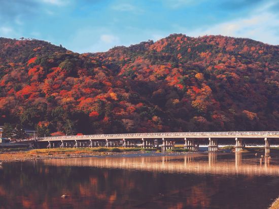 ODTUO_619729b4-9dc1-4763-b756-7f