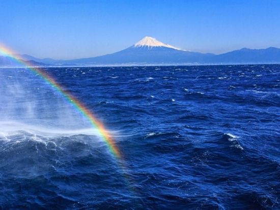 駿河湾フェリー乗船チケット 土肥港 ⇔ 清水港 片道チケット ～雄大な富士山と海の絶景を満喫～＜徒歩乗船／約75分／静岡＞