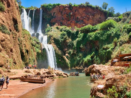 AdobeStock_560628658