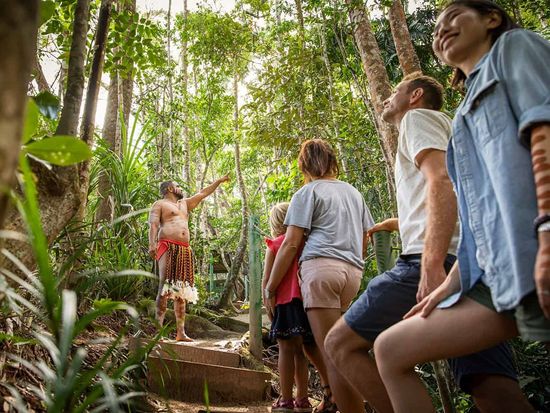 Pamagirri-Rainforest-Walkabout-2