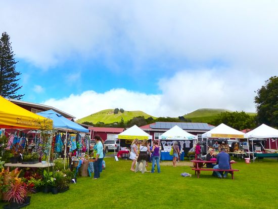Hawaii_Oahu_Waimea_farmers market_pixta_6660510_M