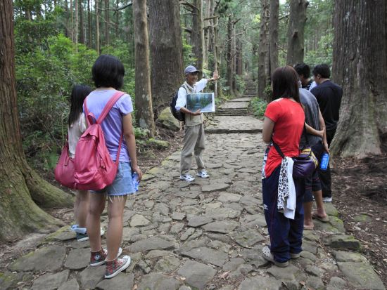 世界遺産熊野古道日帰りトレッキング 中辺路 大門坂～那智の滝～那智山3kmコース＜語り部ガイド付き／大門坂集合＞ by 熊野トラベル