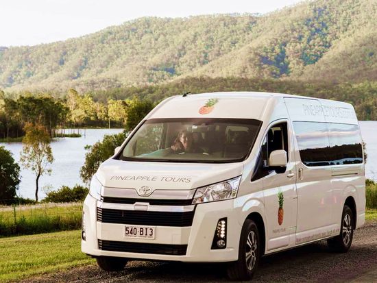 ATE23FP-PineappleTours-QLDjpg-sc