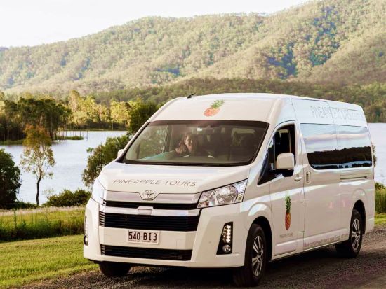 マウントタンボリン ワイナリーツアー　3軒のワイナリーでテイスティング＋2コースランチ＋展望台＜英語ガイド／ブリスベン発＞