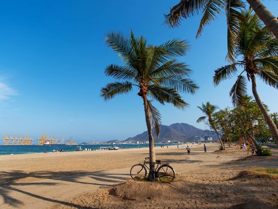 UAE_Fujairah_Khor Fakkan beach_pixta_49012586