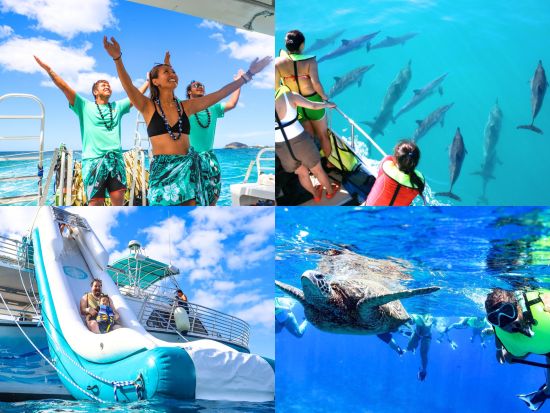 野生のイルカウォッチング＆ウミガメシュノーケリングクルーズ　ジャンボスライダーやSUPも楽しめる！＜ランチ付き／ワイキキ＆コオリナ送迎／日本語または英語ガイド＞