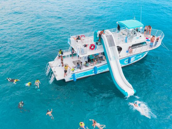 野生のイルカウォッチング＆ウミガメシュノーケリングクルーズ　ジャンボスライダーやSUPも楽しめる！＜ランチ付き／ワイキキ＆コオリナ送迎／日本語または英語ガイド＞