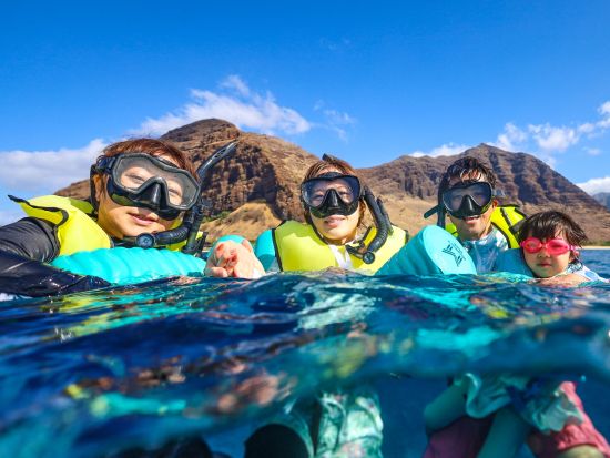 野生のイルカウォッチング＆ウミガメシュノーケリングクルーズ　ジャンボスライダーやSUPも楽しめる！＜ランチ付き／ワイキキ＆コオリナ送迎／日本語または英語ガイド＞