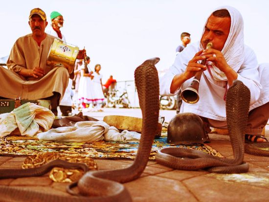 マラケシュ観光ツアー　メディナ＆スーク散策＋名所巡り＜貸切／英語ガイド／マラケシュ発＞