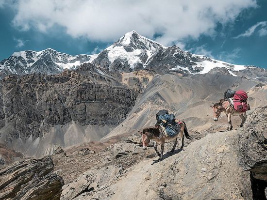 ツブカル山登頂ハイキング　北アフリカ最高峰を目指す感動と絶景の旅＜混載／英語／2日or3日／マラケシュ発＞