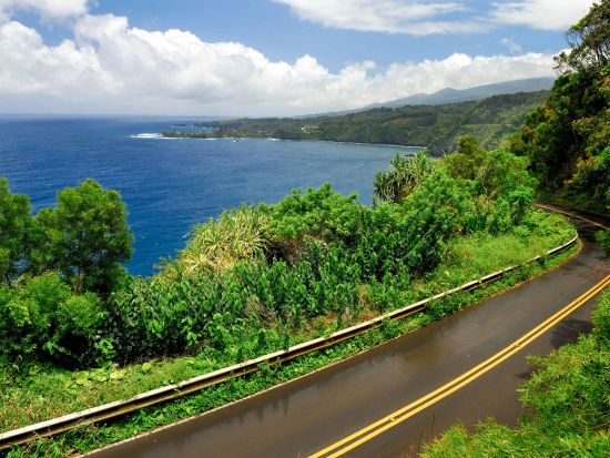 マウイ島観光ツアー　ロード・トゥ・ハナの絶景スポットを巡る！熱帯雨林に囲まれた滝や黒砂ビーチでの水遊びも＜1日／英語ガイド／昼食付＞
