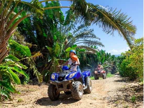 【ベストプライス】西表島の大自然を満喫！バギー体験＆由布島観光がセットになった充実の半日ツアー＜月水木金土日／指定ホテル送迎選択可／石垣島発＞