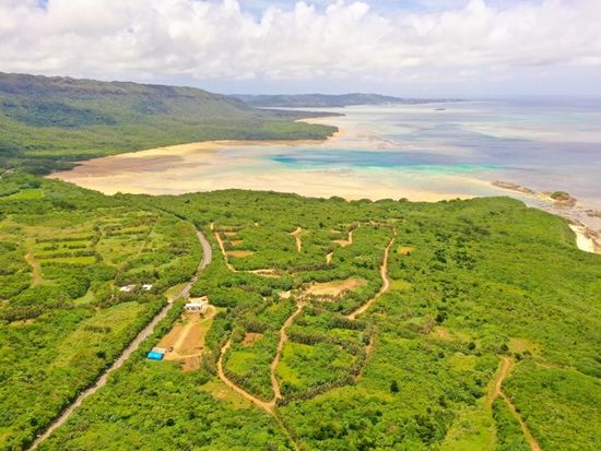 写真 2023-05-05 13 00 21-1