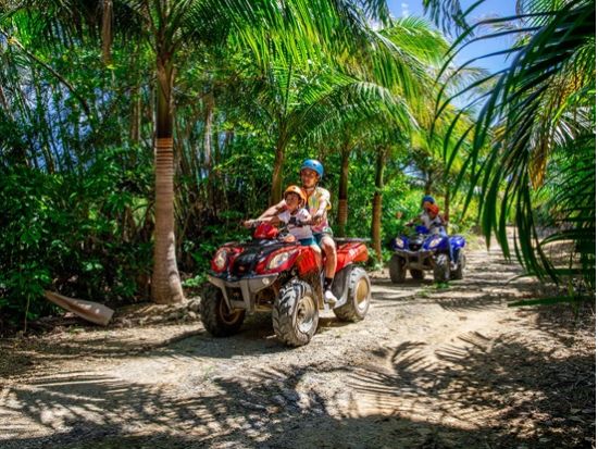 【ベストプライス】西表島の大自然を満喫！バギー体験＆由布島観光がセットになった充実の半日ツアー＜月水木金土日／指定ホテル送迎選択可／石垣島発＞