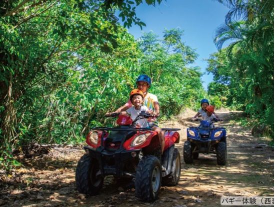 【ベストプライス】西表島バギー体験と由布島＋選べる竹富島観光で存分に楽しむ 嬉しい昼食付き！＜月水木金土日／指定ホテル送迎選択可／石垣島発＞