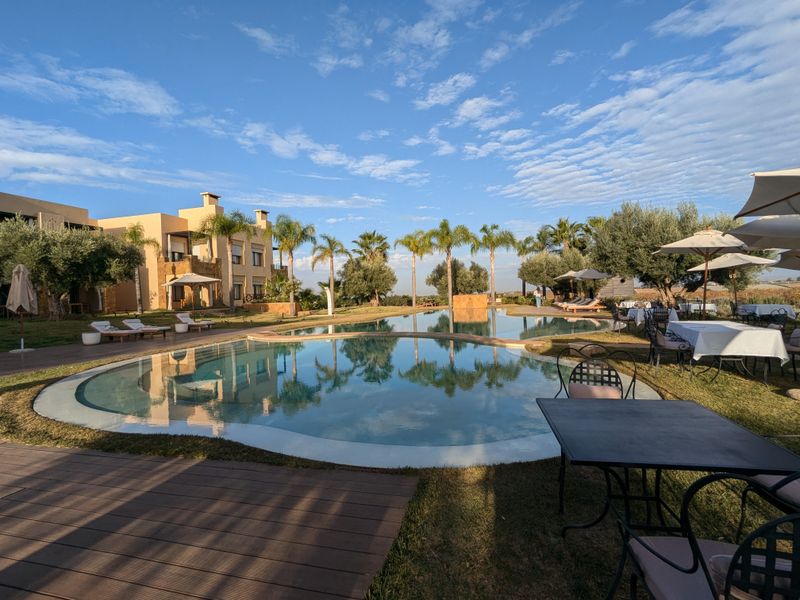 PXL_20241118_155056626