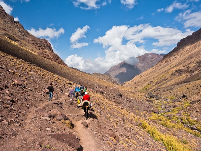 Morocco_Toubkal_National_Park_shutterstock_1050170162