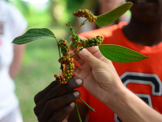 AdobeStock_397272944