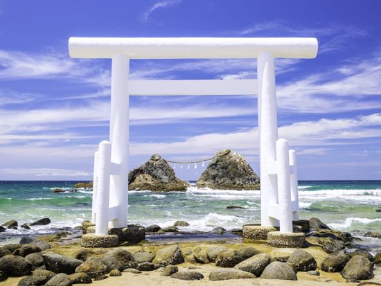 福岡発糸島日帰りバスツアー 太白糸の滝＋雷山千如寺大悲王院＋ヤシの木ブランコ＋トトロの森＋桜井二見浦夫婦岩＋福岡タワー 糸島の秘境を巡る旅＜1日／博多発着＞