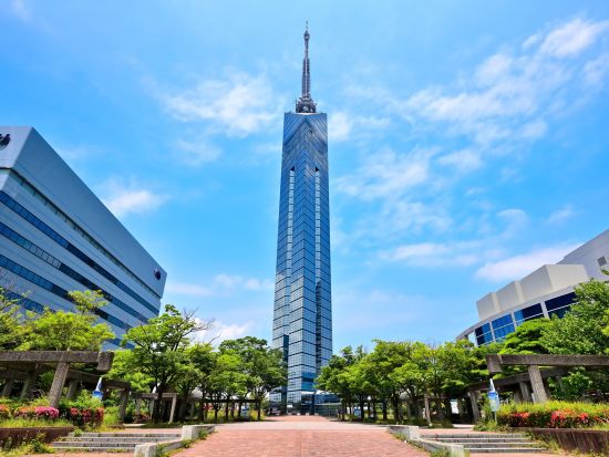福岡発糸島日帰りバスツアー 太白糸の滝＋雷山千如寺大悲王院＋ヤシの木ブランコ＋トトロの森＋桜井二見浦夫婦岩＋福岡タワー 糸島の秘境を巡る旅＜1日／博多発着＞