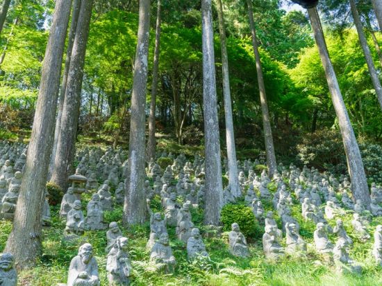 福岡発糸島日帰りバスツアー 太白糸の滝＋雷山千如寺大悲王院＋ヤシの木ブランコ＋トトロの森＋桜井二見浦夫婦岩＋福岡タワー 糸島の秘境を巡る旅＜1日／博多発着＞