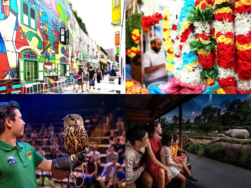 20230808025654_1023558134_1978_0-tile