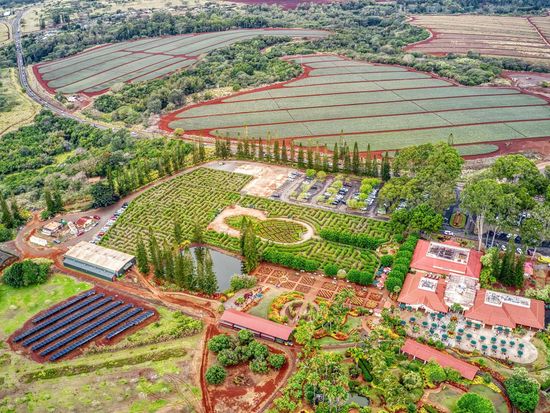 Dole  Pineapple Plantation shutterstock_2203467551