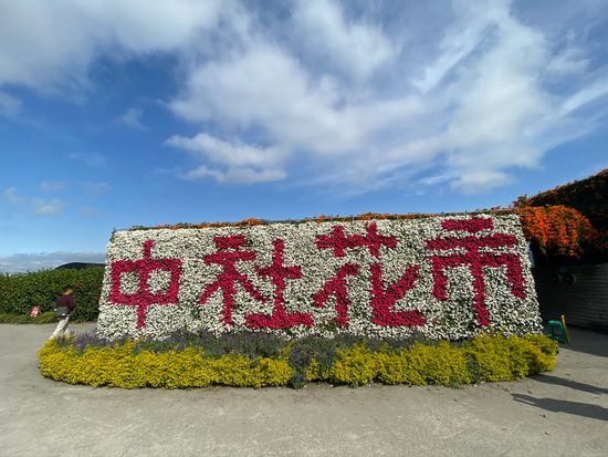 Zhongshe Tourism Flower Market 3