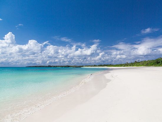 0125_original-e1731052641934