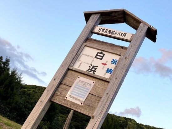 LINE_ALBUM__241114_4-e1731574514463_0