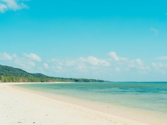 LINE_ALBUM__241213_1