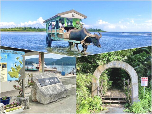 地元ガイド付き観光フォトツアー 島に詳しい地元ガイドが豊かな自然と