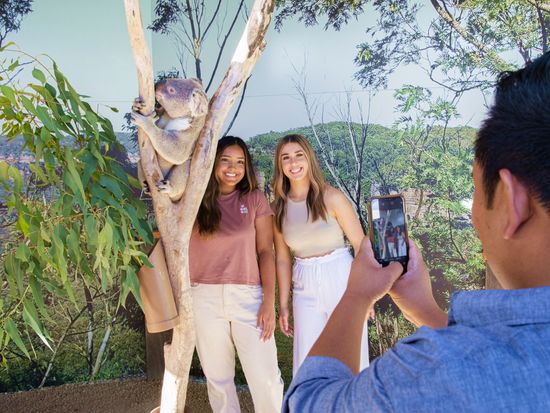 zoo KoalaTrail2_SydneyZoo