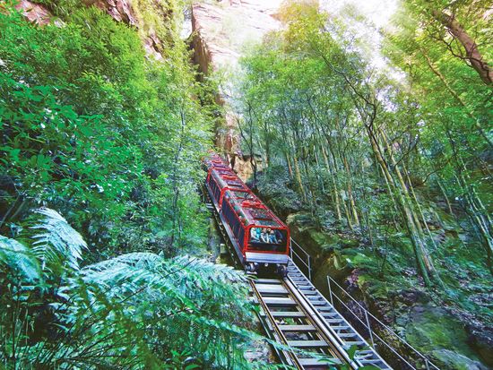 Scenic Railway