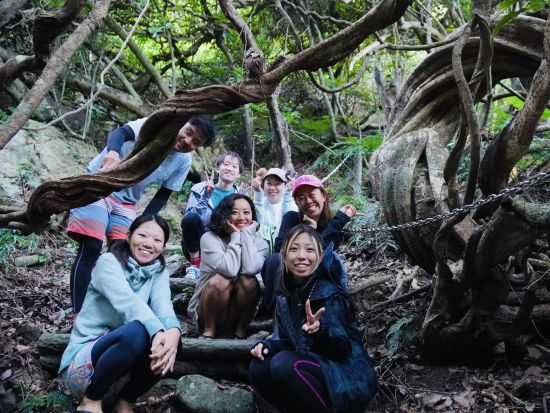 ジャングルツアー マングローブカヌー＋ジャックと豆の木＋癒しの滝めぐり 奄美大島で大自然の神秘を体感するプラン＜1名～／約3時間／住用町＞by OCEANZ