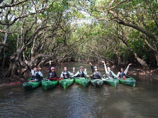 ジャングルツアー マングローブカヌー＋ジャックと豆の木＋癒しの滝めぐり 奄美大島で大自然の神秘を体感するプラン＜1名～／約3時間／住用町＞by OCEANZ