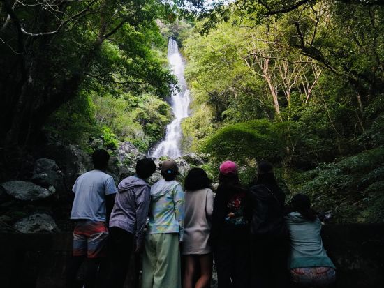 ジャングルツアー マングローブカヌー＋ジャックと豆の木＋癒しの滝めぐり 奄美大島で大自然の神秘を体感するプラン＜1名～／約3時間／住用町＞by OCEANZ