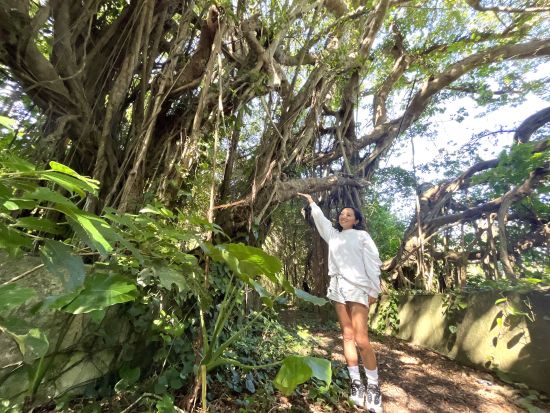 奄美大島・北部満喫ツアー お好きなスポットを4箇所選択可能！奄美大島の観光名所を巡るプラン＜1名～／約3時間／笠利町＞by OCEANZ