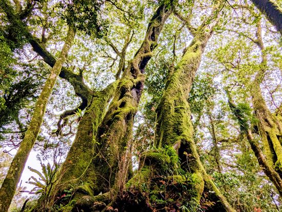 PXL_20240914_044024275.MP~2