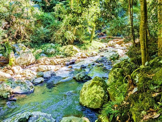 purlingbrook falls trak