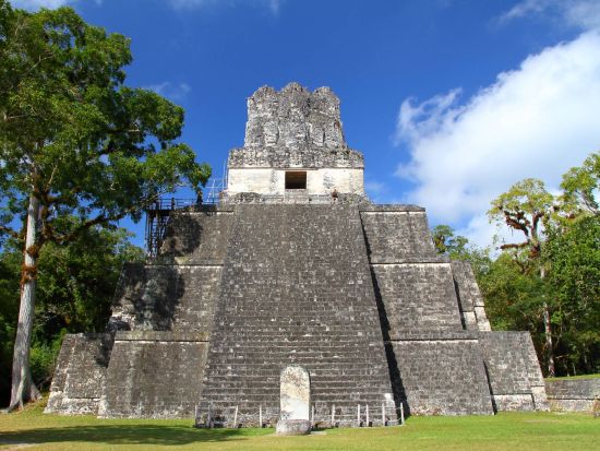 世界遺産ティカル遺跡 日帰りツアー＜昼食付／英語ガイド／グアテマラシティ発＞