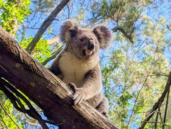 PXL_20241124_063128348~2